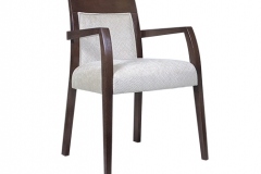 Dining Room Chairs